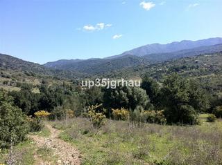 Terreno residenziale in Casares pueblo Terreno residenziale in Casares pueblo