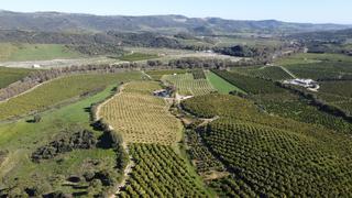 Terreno residenziale in Casares pueblo Terreno residenziale in Casares pueblo