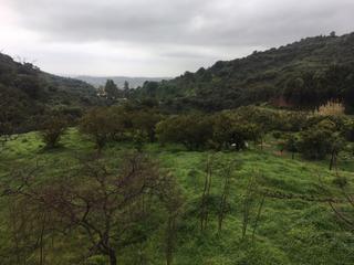 Terreny residencial a Parque Central Terreny residencial a Parque Central