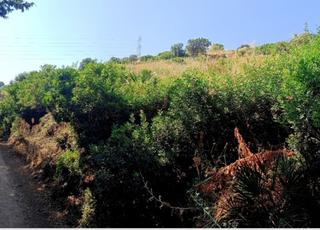 Terreny residencial a Parque Central Terreny residencial a Parque Central