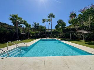 Apartment in Casco Antiguo Apartment in Casco Antiguo