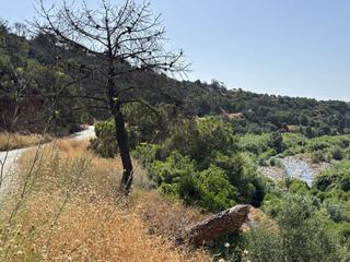 Terreny residencial a Parque Central Terreny residencial a Parque Central