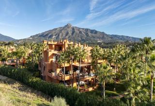 Apartment in Casco Antiguo Apartment in Casco Antiguo