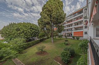 Apartment in Casco Antiguo Apartment in Casco Antiguo