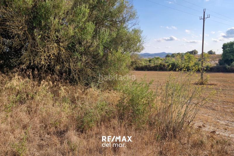 Foto 00313c08-cc64-4903-a3cc-ae04d706ec35. Terreny residencial a Montuïri Foto 00313c08-cc64-4903-a3cc-ae04d706ec35. Terreny residencial a Montuïri