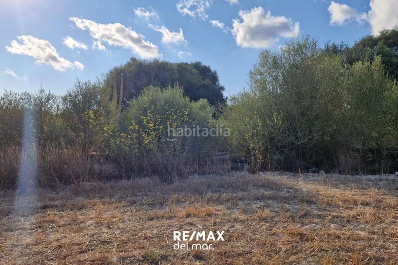 Foto 062b2495-4b7a-4831-ab28-c30c42f4bebe. Terreny residencial a Montuïri Foto 062b2495-4b7a-4831-ab28-c30c42f4bebe. Terreny residencial a Montuïri