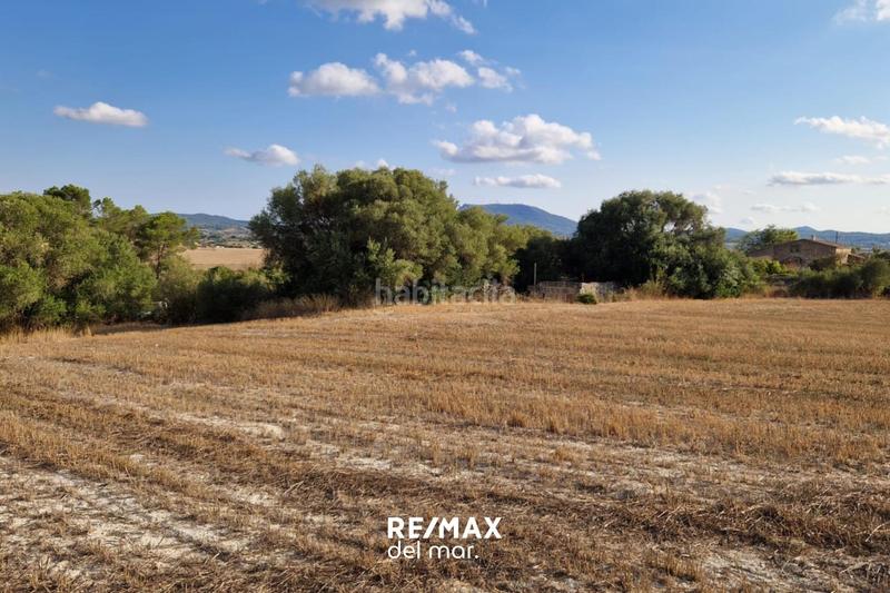 Foto 29b0bc0a-1b96-408f-9e02-1be89b0ea1d9. Terreny residencial a Montuïri Foto 29b0bc0a-1b96-408f-9e02-1be89b0ea1d9. Terreny residencial a Montuïri