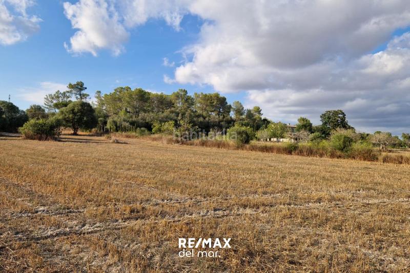 Foto 363e3fbc-f965-4c2e-a813-8ac510fa11d0. Terreny residencial a Montuïri Foto 363e3fbc-f965-4c2e-a813-8ac510fa11d0. Terreny residencial a Montuïri