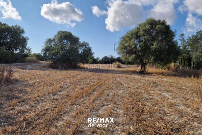 Foto 37396ad6-51de-4bb3-9668-11157ed8816e. Terreny residencial a Montuïri Foto 37396ad6-51de-4bb3-9668-11157ed8816e. Terreny residencial a Montuïri