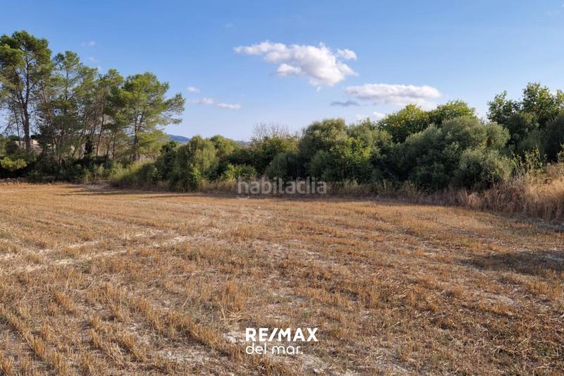 Foto 4f4d9a9c-5608-4635-b2d2-793f06fc098d. Terreny residencial a Montuïri Foto 4f4d9a9c-5608-4635-b2d2-793f06fc098d. Terreny residencial a Montuïri