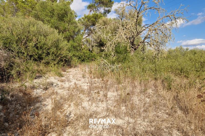 Foto 5a3ce9c8-30cb-4bb5-9586-1c7c3b03e445. Terreny residencial a Montuïri Foto 5a3ce9c8-30cb-4bb5-9586-1c7c3b03e445. Terreny residencial a Montuïri