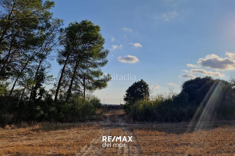 Foto 7653cb35-6bf2-4482-901d-f26b11f1e091. Terreny residencial a Montuïri Foto 7653cb35-6bf2-4482-901d-f26b11f1e091. Terreny residencial a Montuïri