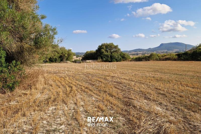 Foto 8b7ba98f-bd14-4e8f-a085-604aa7cb38e0. Terreny residencial a Montuïri Foto 8b7ba98f-bd14-4e8f-a085-604aa7cb38e0. Terreny residencial a Montuïri