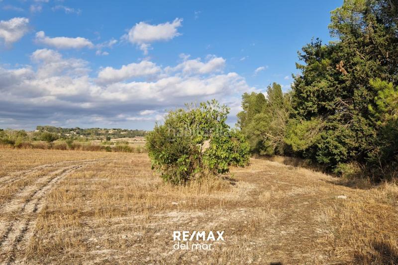 Foto b903a267-0666-45cf-bddf-786716622d42. Terreny residencial a Montuïri Foto b903a267-0666-45cf-bddf-786716622d42. Terreny residencial a Montuïri