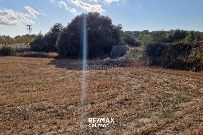 Foto d18eec6e-4333-4d56-b684-13a329e919d8. Terreny residencial a Montuïri Foto d18eec6e-4333-4d56-b684-13a329e919d8. Terreny residencial a Montuïri