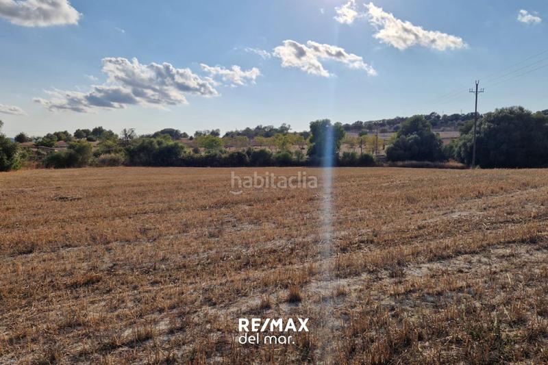 Foto d441fd8d-2347-4a99-ba32-5afbc80087d1. Terreny residencial a Montuïri Foto d441fd8d-2347-4a99-ba32-5afbc80087d1. Terreny residencial a Montuïri