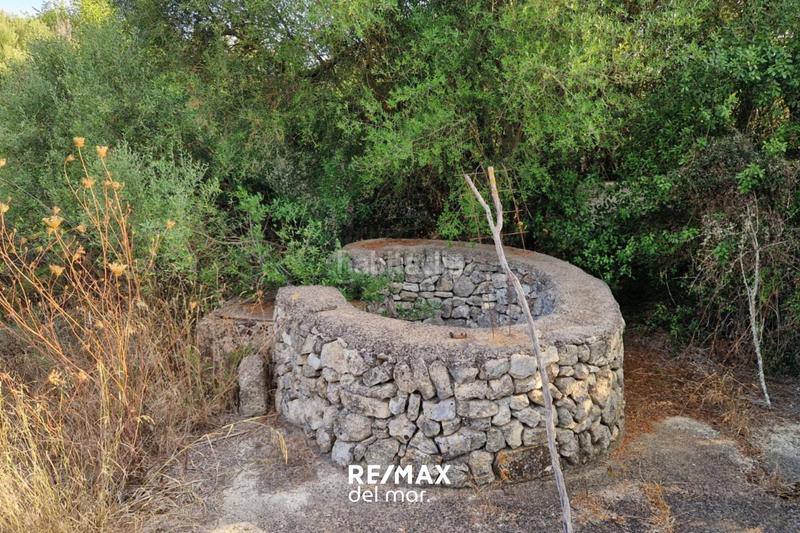 Foto d554b501-d9e0-4a1f-8b27-a26b5849fa34. Terreny residencial a Montuïri Foto d554b501-d9e0-4a1f-8b27-a26b5849fa34. Terreny residencial a Montuïri