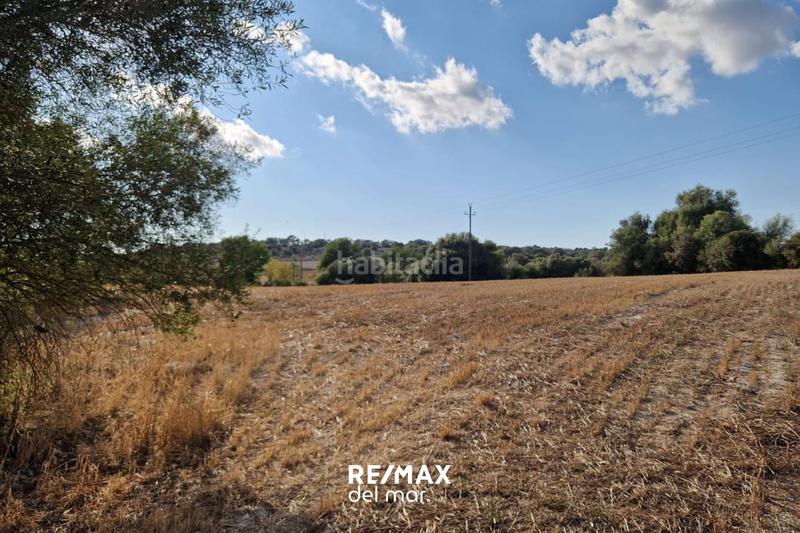 Foto d769b700-82e0-4441-a83d-b5dc351de116. Terreny residencial a Montuïri Foto d769b700-82e0-4441-a83d-b5dc351de116. Terreny residencial a Montuïri