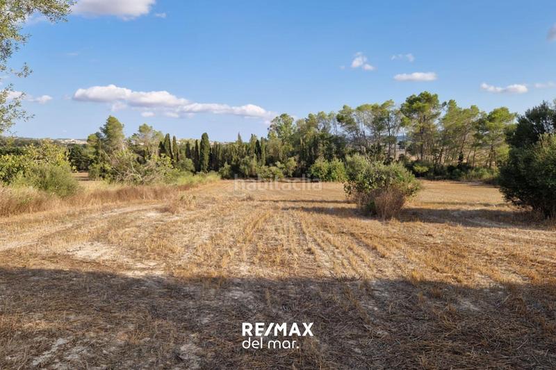 Foto d87f7b2e-d3b4-411a-ae8c-e239e1d157a7. Terreny residencial a Montuïri Foto d87f7b2e-d3b4-411a-ae8c-e239e1d157a7. Terreny residencial a Montuïri