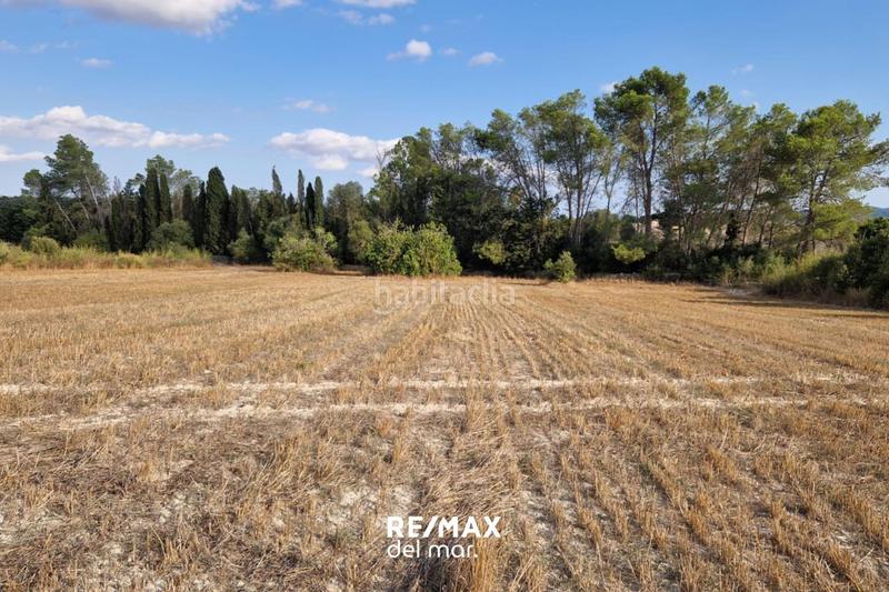 Foto e3efe8eb-f9e1-409f-96d8-c28985f3b113. Terreny residencial a Montuïri Foto e3efe8eb-f9e1-409f-96d8-c28985f3b113. Terreny residencial a Montuïri