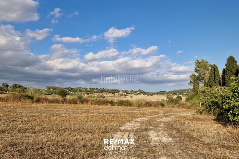 Foto fcccc2cd-7502-4a35-8531-2e0da11b66da. Terreny residencial a Montuïri Foto fcccc2cd-7502-4a35-8531-2e0da11b66da. Terreny residencial a Montuïri