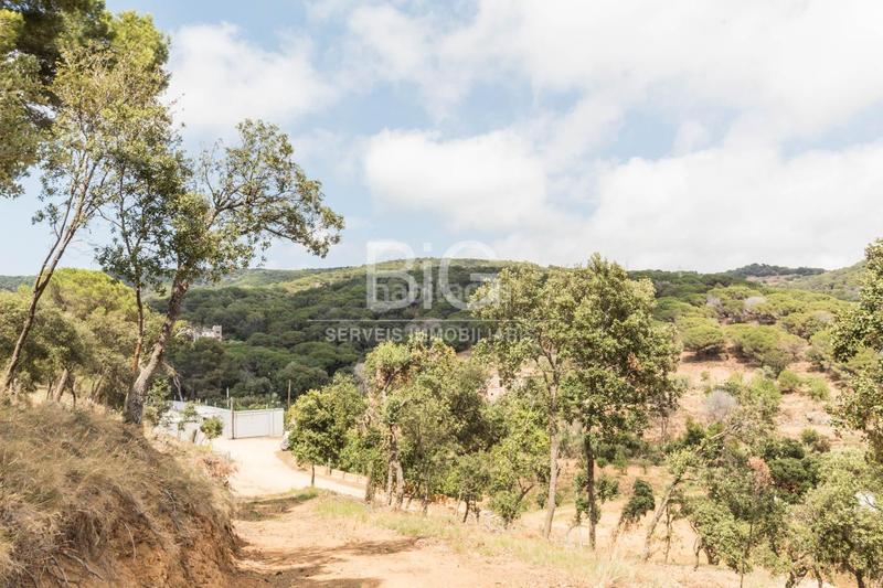 Foto 0060c6cd-9796-4dc7-8d84-a45f637ee809. Finca rústica venta de dos fincas rústicas , cerca de la autopista en Mataró Foto 0060c6cd-9796-4dc7-8d84-a45f637ee809. Finca rústica venta de dos fincas rústicas , cerca de la autopista en Mataró