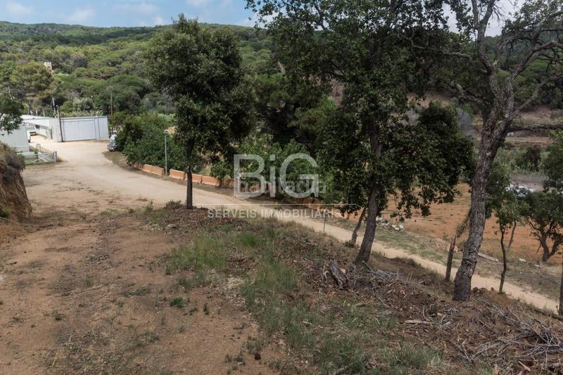 Foto 021639c5-fc67-400e-bd24-aa6173a22325. Finca rústica venta de dos fincas rústicas , cerca de la autopista en Mataró Foto 021639c5-fc67-400e-bd24-aa6173a22325. Finca rústica venta de dos fincas rústicas , cerca de la autopista en Mataró