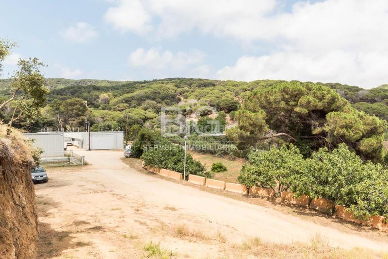 Foto 076370ea-b5d7-42f7-bb4d-769df14b8f97. Finca rústica venta de dos fincas rústicas , cerca de la autopista en Mataró Foto 076370ea-b5d7-42f7-bb4d-769df14b8f97. Finca rústica venta de dos fincas rústicas , cerca de la autopista en Mataró