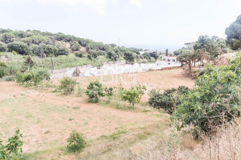 Foto 3711951a-a324-4598-bec8-f03c061d8dbc. Finca rústica venta de dos fincas rústicas , cerca de la autopista en Mataró Foto 3711951a-a324-4598-bec8-f03c061d8dbc. Finca rústica venta de dos fincas rústicas , cerca de la autopista en Mataró