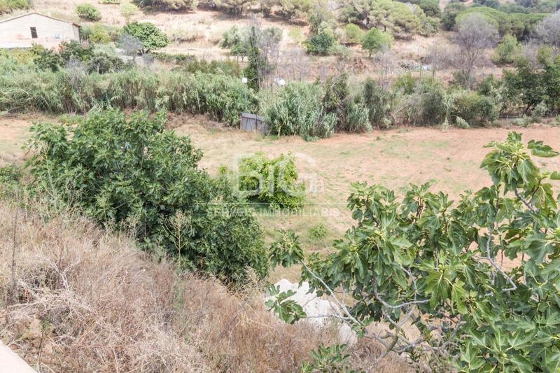 Foto 4d9ac2d1-e6e1-449a-876b-5962601e4446. Finca rústica venta de dos fincas rústicas , cerca de la autopista en Mataró Foto 4d9ac2d1-e6e1-449a-876b-5962601e4446. Finca rústica venta de dos fincas rústicas , cerca de la autopista en Mataró