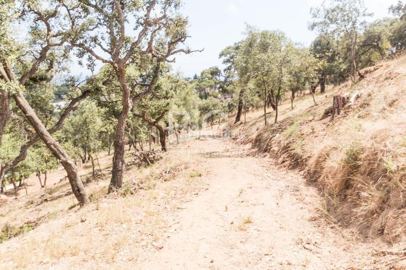 Foto 6f1caa85-a85e-4f96-bccb-d1f3fa137b3e. Finca rústica venta de dos fincas rústicas , cerca de la autopista en Mataró Foto 6f1caa85-a85e-4f96-bccb-d1f3fa137b3e. Finca rústica venta de dos fincas rústicas , cerca de la autopista en Mataró