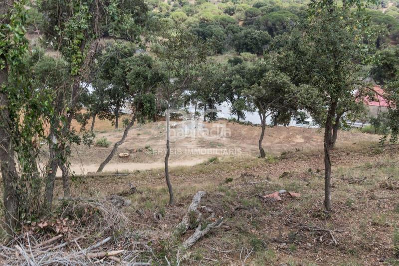 Foto 72beea4d-74b5-4134-baab-3b6a5c63e54d. Finca rústica venta de dos fincas rústicas , cerca de la autopista en Mataró Foto 72beea4d-74b5-4134-baab-3b6a5c63e54d. Finca rústica venta de dos fincas rústicas , cerca de la autopista en Mataró