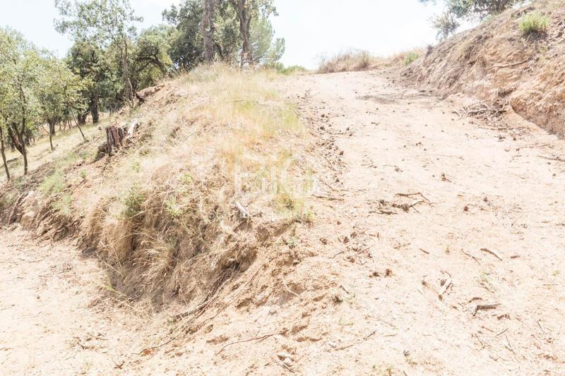 Foto da2dd0a6-c1b0-468d-8d94-5dad1f3006ea. Finca rústica venta de dos fincas rústicas , cerca de la autopista en Mataró Foto da2dd0a6-c1b0-468d-8d94-5dad1f3006ea. Finca rústica venta de dos fincas rústicas , cerca de la autopista en Mataró