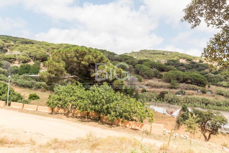 Foto ed6beedf-da12-42b2-bd0f-83eeee7b4678. Finca rústica venta de dos fincas rústicas , cerca de la autopista en Mataró Foto ed6beedf-da12-42b2-bd0f-83eeee7b4678. Finca rústica venta de dos fincas rústicas , cerca de la autopista en Mataró