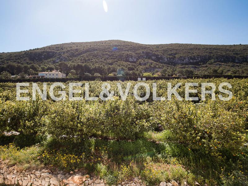 Foto 54732007-3243-4349-ac3c-caac34abd7e0. Masía 10 ha de cultivos ecologicos con masia en Bonavista-Lago San Lorenzo Cullera Foto 54732007-3243-4349-ac3c-caac34abd7e0. Masía 10 ha de cultivos ecologicos con masia en Bonavista-Lago San Lorenzo Cullera