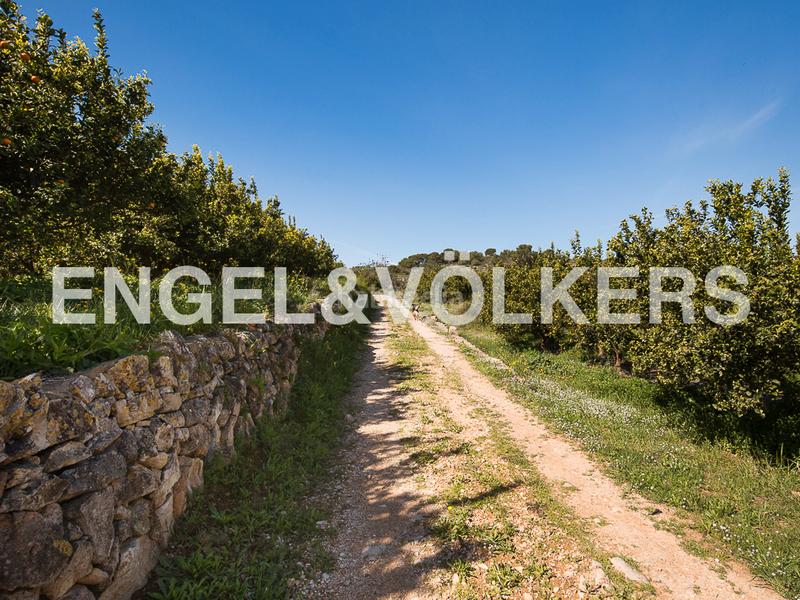 Foto bcca272a-a7ac-480e-9317-74b1b75b05f8. Masía 10 ha de cultivos ecologicos con masia en Bonavista-Lago San Lorenzo Cullera Foto bcca272a-a7ac-480e-9317-74b1b75b05f8. Masía 10 ha de cultivos ecologicos con masia en Bonavista-Lago San Lorenzo Cullera