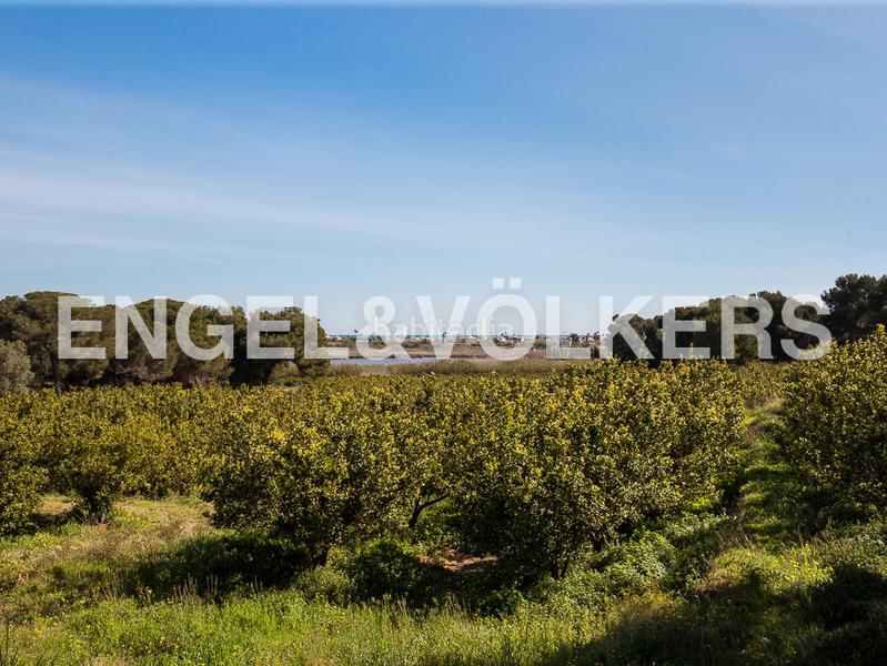 Foto c369e335-6a22-4a63-9213-db102eed6648. Masía 10 ha de cultivos ecologicos con masia en Bonavista-Lago San Lorenzo Cullera Foto c369e335-6a22-4a63-9213-db102eed6648. Masía 10 ha de cultivos ecologicos con masia en Bonavista-Lago San Lorenzo Cullera