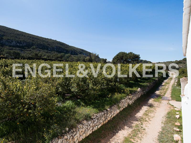 Foto e6229b63-9441-4a07-b22f-44df32b77f60. Masía 10 ha de cultivos ecologicos con masia en Bonavista-Lago San Lorenzo Cullera Foto e6229b63-9441-4a07-b22f-44df32b77f60. Masía 10 ha de cultivos ecologicos con masia en Bonavista-Lago San Lorenzo Cullera