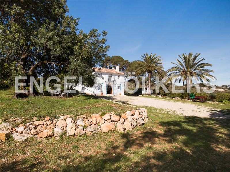 Foto eec02bd6-829c-4d40-96b6-1e241aedb056. Masía 10 ha de cultivos ecologicos con masia en Bonavista-Lago San Lorenzo Cullera Foto eec02bd6-829c-4d40-96b6-1e241aedb056. Masía 10 ha de cultivos ecologicos con masia en Bonavista-Lago San Lorenzo Cullera