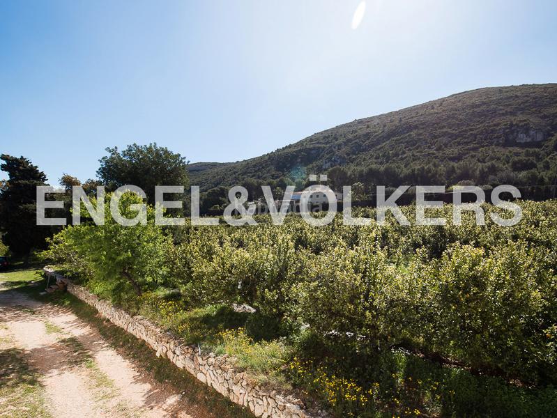 Foto f090a24f-b9db-4ef9-99ef-ab8b9ae102b8. Masía 10 ha de cultivos ecologicos con masia en Bonavista-Lago San Lorenzo Cullera Foto f090a24f-b9db-4ef9-99ef-ab8b9ae102b8. Masía 10 ha de cultivos ecologicos con masia en Bonavista-Lago San Lorenzo Cullera