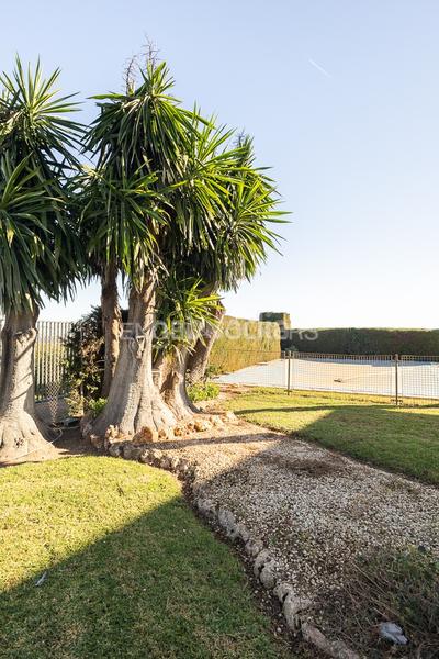 Foto c560ee37-2173-4047-9060-e6cb4c0acc60. Rent house with heating parking pool in Cumbres de Calicanto Torrent Foto c560ee37-2173-4047-9060-e6cb4c0acc60. Rent house with heating parking pool in Cumbres de Calicanto Torrent