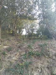 Wohngrundstück in Sa Riera-Sa Fontansa. Terreno edificable de 858 m2  en begur... Wohngrundstück in Sa Riera-Sa Fontansa. Terreno edificable de 858 m2  en begur...