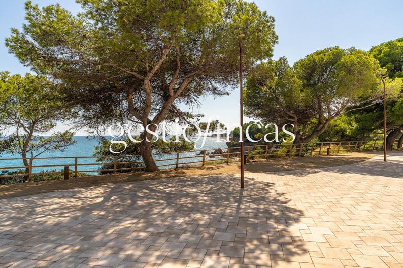 Foto 54e9a9f5-b2a5-4fb9-955c-4647f66306fd. Pis amb aparcament piscina a Passeig Marítim Miami Platja Foto 54e9a9f5-b2a5-4fb9-955c-4647f66306fd. Pis amb aparcament piscina a Passeig Marítim Miami Platja