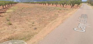 Finca rústica  Polígono 25. Finca rustico secano en villafames acceso por camino asfaltado Finca rústica  Polígono 25. Finca rustico secano en villafames acceso por camino asfaltado