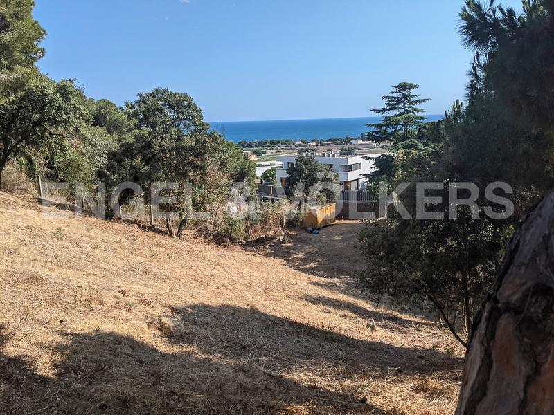 Foto 9889c34c-024c-4281-bd05-24f57e048660. Terrain résidentiel dans Can Quirze Mataró Foto 9889c34c-024c-4281-bd05-24f57e048660. Terrain résidentiel dans Can Quirze Mataró