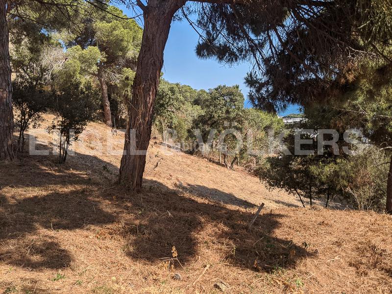 Foto ff15b10c-73db-4474-a999-196fd41d1112. Terrain résidentiel dans Can Quirze Mataró Foto ff15b10c-73db-4474-a999-196fd41d1112. Terrain résidentiel dans Can Quirze Mataró