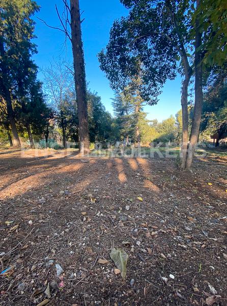 Foto cf01ae1a-9430-4b57-8563-7c4f6dd6b227. Terreny residencial a Valldoreix Sant Cugat del Vallès Foto cf01ae1a-9430-4b57-8563-7c4f6dd6b227. Terreny residencial a Valldoreix Sant Cugat del Vallès