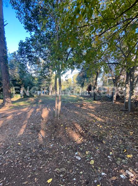 Foto d17f9ed3-9eb2-42a2-bc41-ab0bda67b355. Terreny residencial a Valldoreix Sant Cugat del Vallès Foto d17f9ed3-9eb2-42a2-bc41-ab0bda67b355. Terreny residencial a Valldoreix Sant Cugat del Vallès