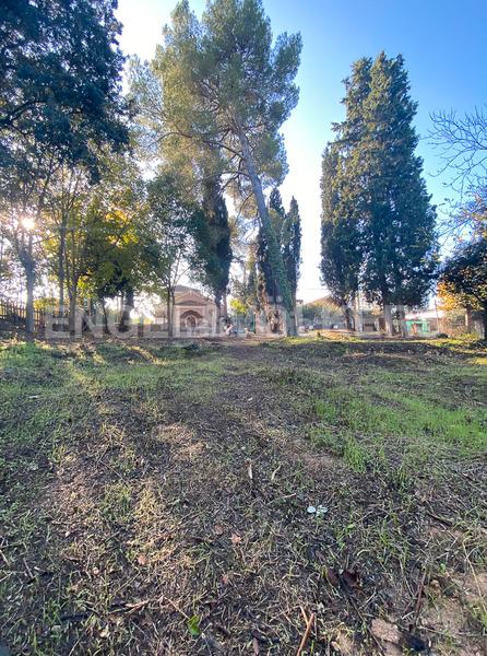 Foto f03c9061-f514-4e9f-a823-a164fdaecee1. Terreny residencial a Valldoreix Sant Cugat del Vallès Foto f03c9061-f514-4e9f-a823-a164fdaecee1. Terreny residencial a Valldoreix Sant Cugat del Vallès