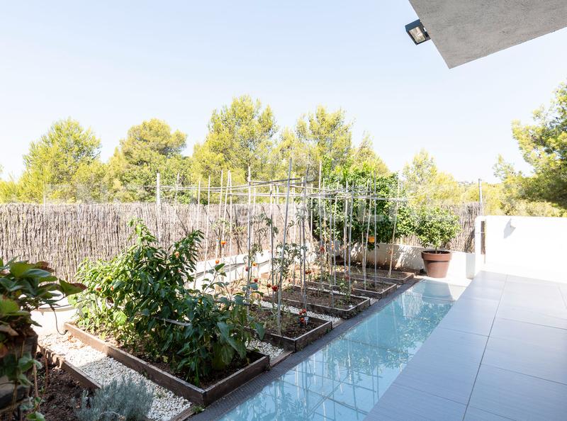 Foto 5d20c94a-7406-42c8-9366-e195b0fa1dd2. House with heating parking pool in Coma-ruga platja Coma-ruga Foto 5d20c94a-7406-42c8-9366-e195b0fa1dd2. House with heating parking pool in Coma-ruga platja Coma-ruga